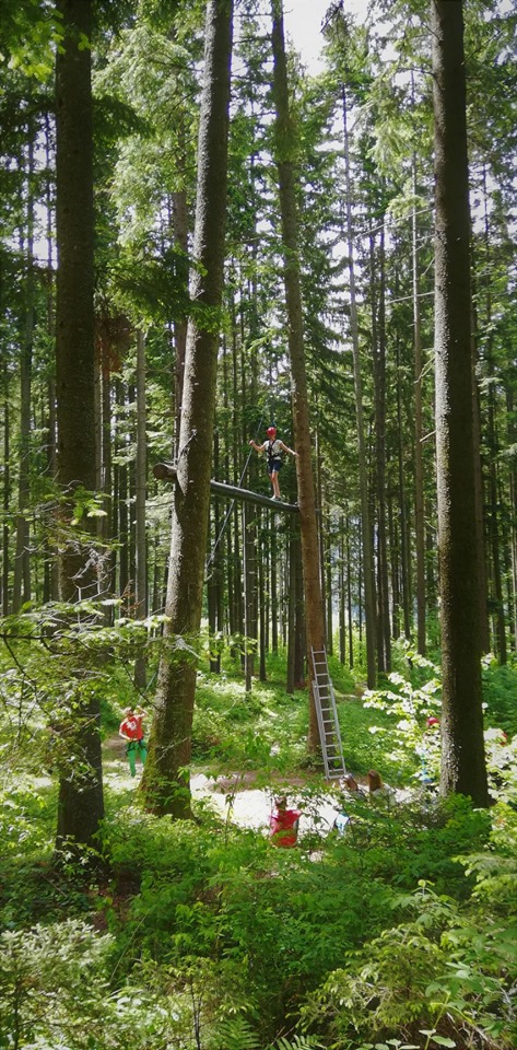 Provocări în pădure la mare înălțime